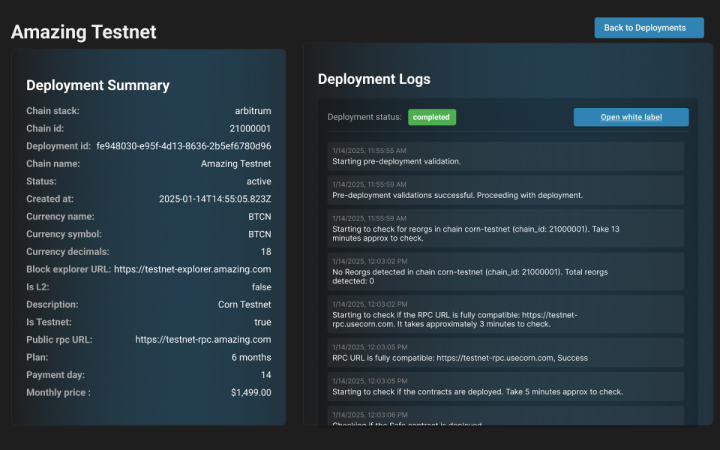 Deployment summary and logs.